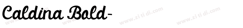 Caldina Bold字体转换
